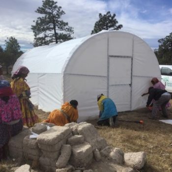 Desarrollo Comunitario