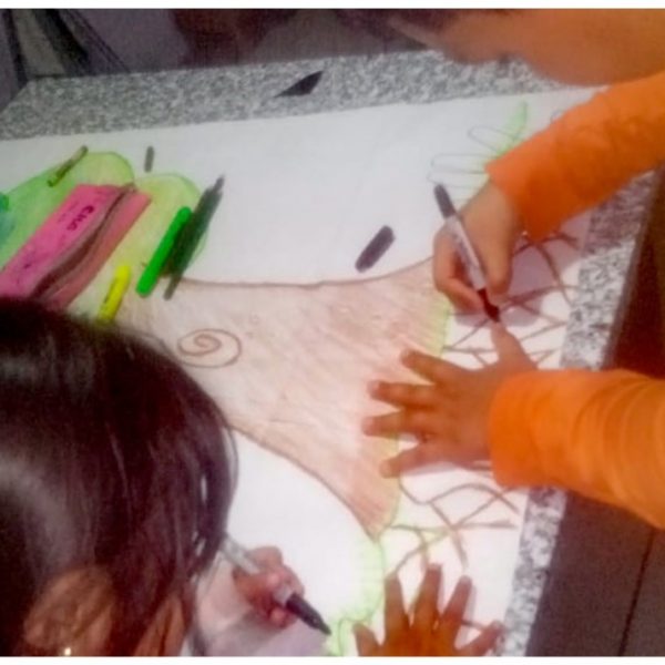 Desarrollo Familiar