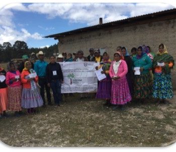 Programa de intervención rural
